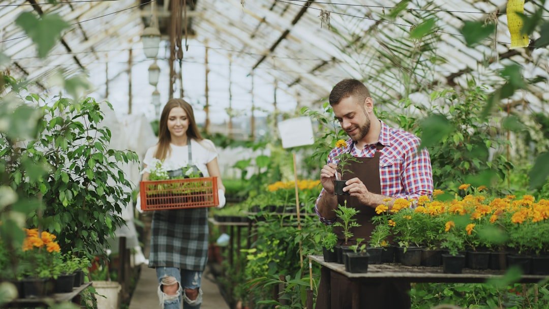 photo-1758524054151-46fd7b2ac71c Dominando o Mundo em 2026: As Tendências Globais que Impactam Seus Negócios e Investimentos