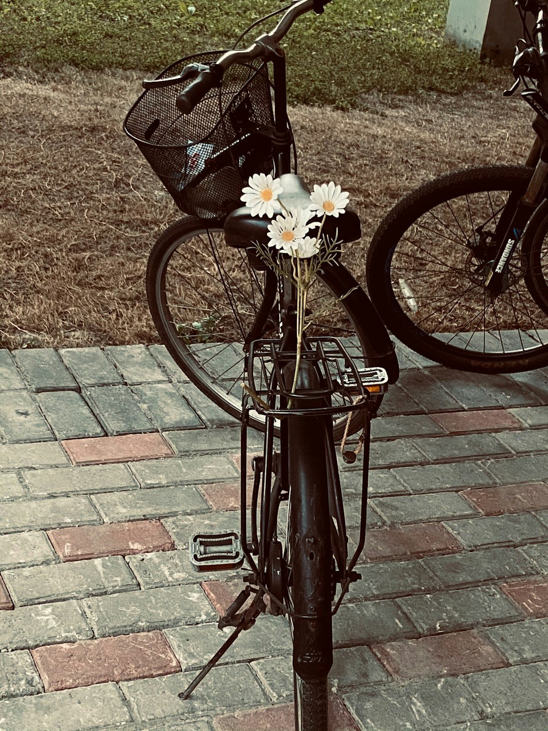 photo-1720844856263-e9f0ae4d0e37 Ciclismo em 2026: Desvendando as Tendências Que Moldarão o Futuro das Duas Rodas