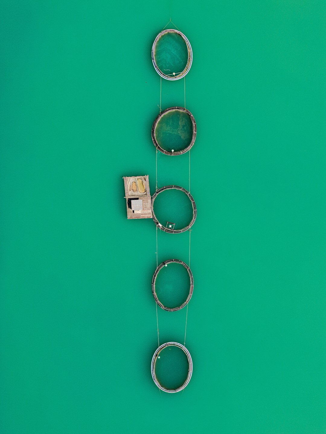 photo-1755710279752-2414f599f673 Acessórios Essenciais em 2026: Seu Estilo Personalizado e Inteligente!